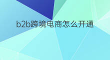 b2b跨境电商怎么开通 怎么开通b2b支付