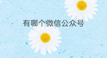 有哪个微信公众号 微信公众号有几种