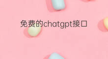 免费的chatgpt接口网站(免费chatgpt的api接口)