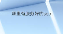 哪里有服务好的seo 长沙seo服务哪里有
