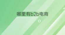 哪里有b2b电商 b2b电商有什么意义