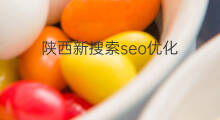 陕西新搜索seo优化 陕西SEO优化电池