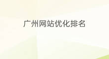 广州网站优化排名 广州网站排名优化