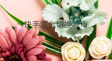 快手怎么切换城市 怎么切换快手城市