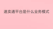 速卖通平台是什么业务模式 速卖通平台结算方式是什么