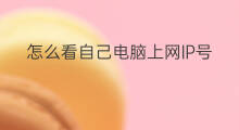 怎么看自己电脑上网IP号 怎么看本机电脑ip号