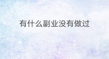 有什么副业没有做过 有什么副业没有做过的人