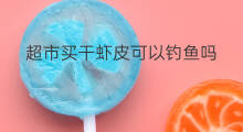 超市买干虾皮可以钓鱼吗 超市有虾皮买吗