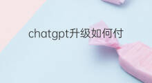 chatgpt升级如何付费 chatgpt如何升级成付费版本