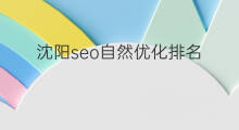 沈阳seo自然优化排名 seo自然排名优化
