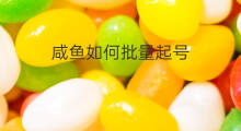 咸鱼如何批量起号 咸鱼怎样批量起号