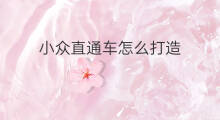 小众直通车怎么打造 小众直通车怎么样
