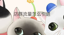 店群流量怎么引进 怎么引进店群流量