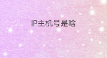 IP主机号是啥 ip是主机号吗