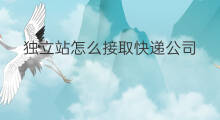 独立站怎么接取快递公司 独立站怎么加查快递单号