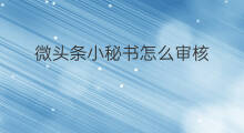 微头条小秘书怎么审核 头条微头条怎么申请审核