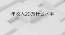 年收入20万什么水平 年收入40万什么水平