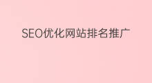 SEO优化网站排名推广 SEO推广网站优化排名
