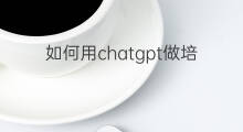如何用chatgpt做培训(如何用chatgpt做软件)
