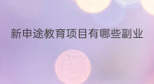 新申途教育项目有哪些副业 90后副业项目有哪些