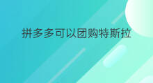 拼多多可以团购特斯拉 拼多多商城团购真假