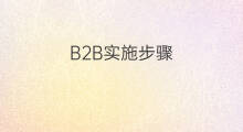 B2B实施步骤 b2b实验产品搜索步骤