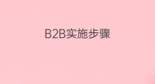 B2B实施步骤 b2b实验产品搜索步骤