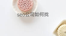 seo公司如何找 seo找哪个公司