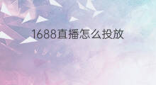 1688直播怎么投放 1688服务订单怎么投放