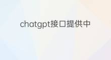 chatgpt接口提供中文助理服务 chatgpt中文接口