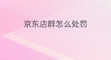 京东店群怎么处罚 店群有处罚吗