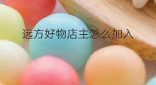 远方好物店主怎么加入 远方好物怎样