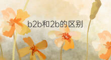 b2b和2b的区别 b2b和b2c采购的区别