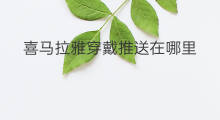喜马拉雅穿戴推送在哪里 喜马拉雅穿戴怎么同步