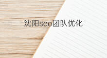 沈阳seo团队优化 沈阳seo基础优化团队