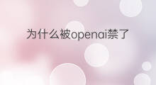 为什么被openai禁了 快手为什么禁