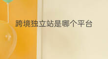 跨境独立站是哪个平台 独立站是哪个平台