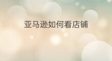 亚马逊如何看店铺 快手如何看店铺评价