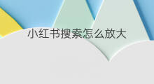 小红书搜索怎么放大 苹果小红书怎么放大