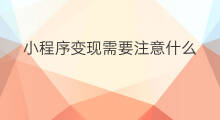 小程序变现需要注意什么 开发小程序注意什么