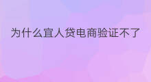 为什么宜人贷电商验证不了 宜人贷线下贷款好过吗