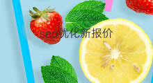 seo优化新报价 南安seo优化报价