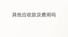 其他应收款及费用吗 其他应收款下设待摊费用