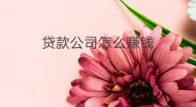 贷款公司怎么赚钱 贷款平台怎么赚钱