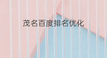 茂名百度排名优化 茂名百度排名优化查询