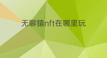 无聊猿nft在哪里玩 无聊猿nft怎么获得