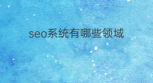seo系统有哪些领域 创业领域有哪些