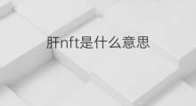 肝nft是什么意思 nft是什么意思音乐