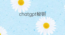 chatgpt秘钥(chatgpt购买)