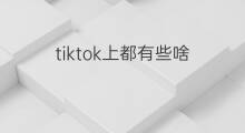 tiktok上都有些啥 快手都有些什么团队